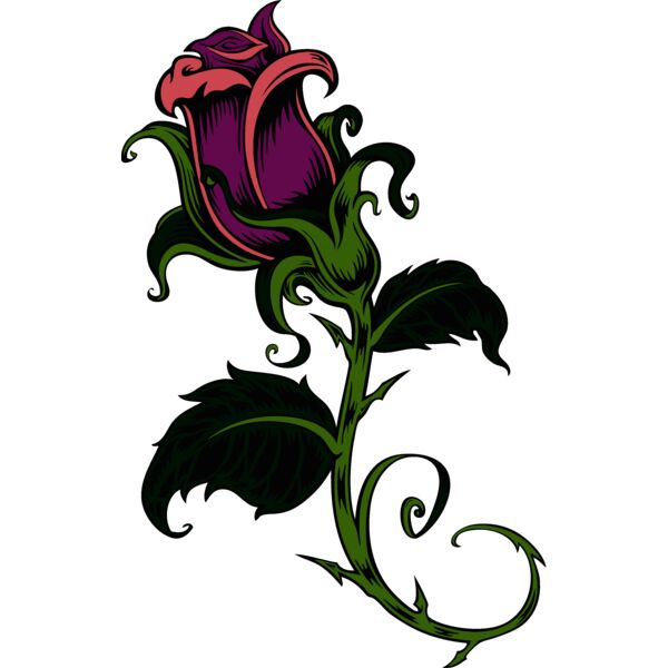 es2rose001clr Thumbnail