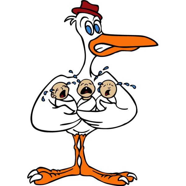 stork1 Thumbnail