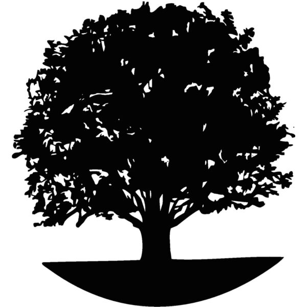 tree Thumbnail
