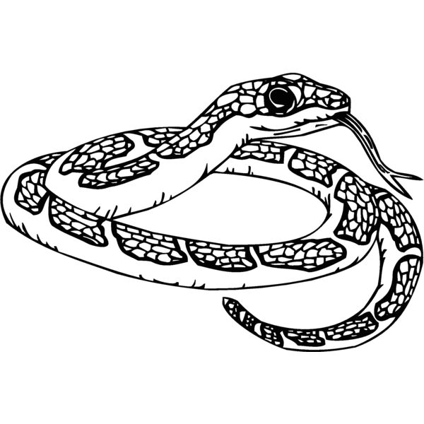 snake2 Thumbnail