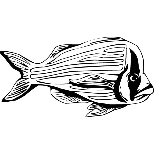 fish2 Thumbnail