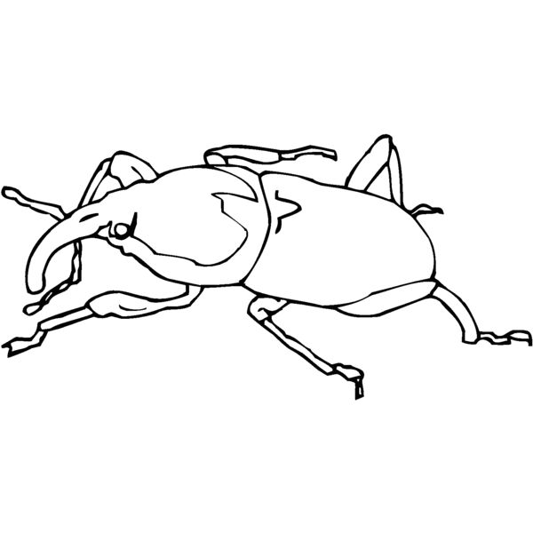 agave bi Thumbnail