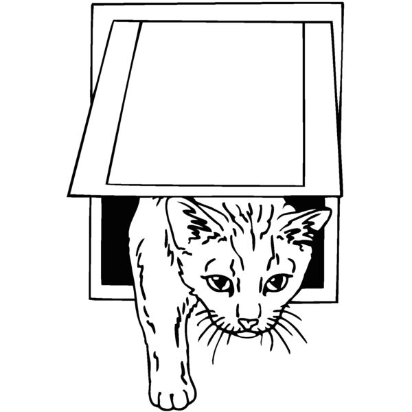 cat door Thumbnail
