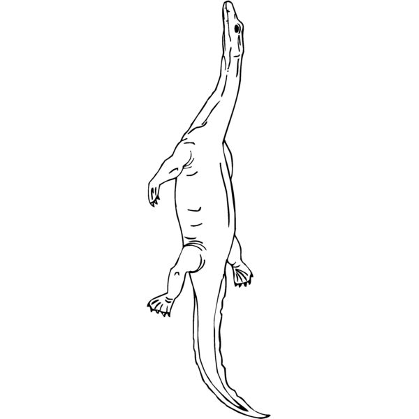 nothosau Thumbnail