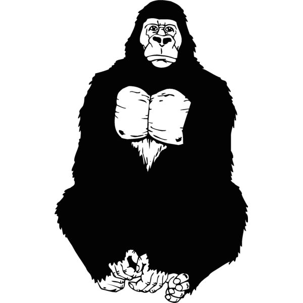 gorilla2 Thumbnail