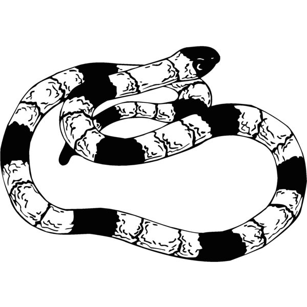 snake9 Thumbnail