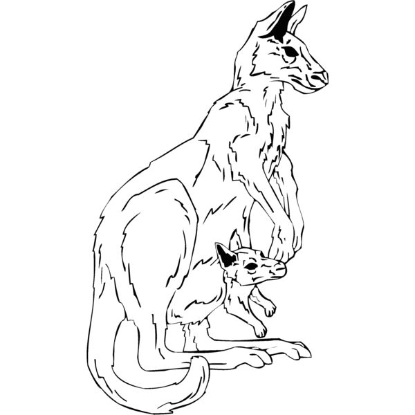 kangaroo Thumbnail