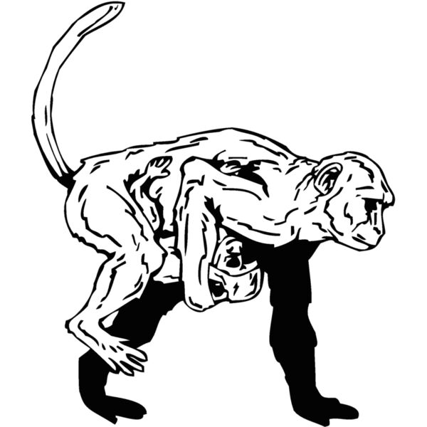 monkey4 Thumbnail