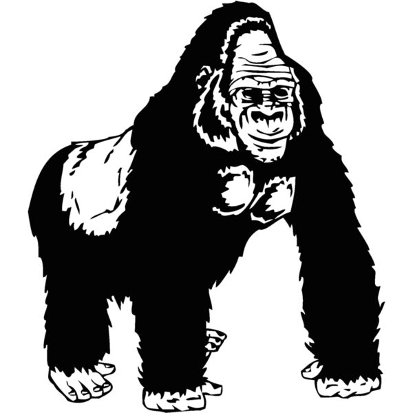 gorilla Thumbnail