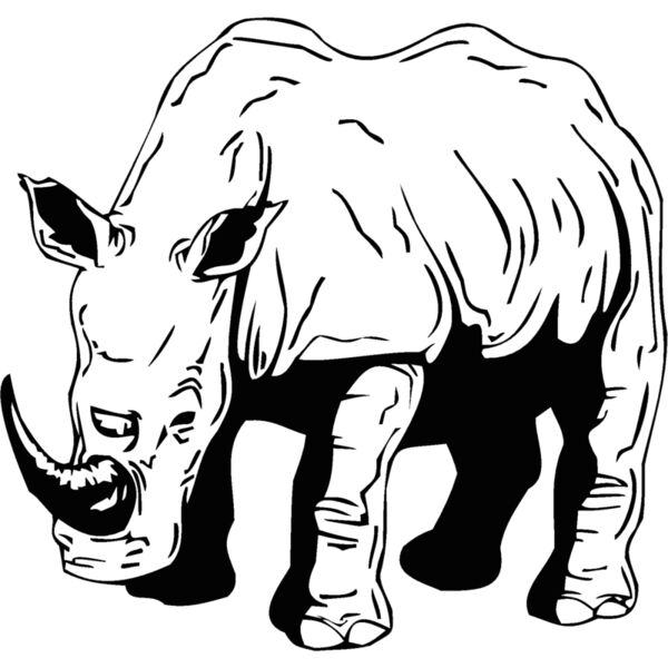 rhino2 Thumbnail