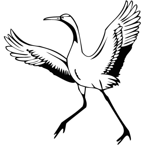 bird14 Thumbnail