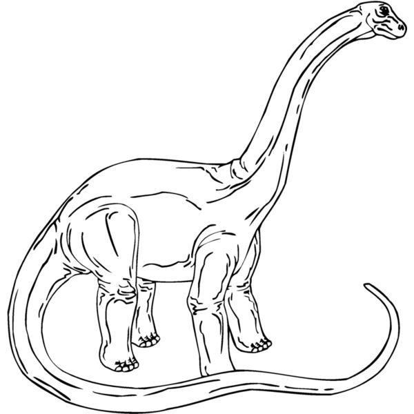 brantosa Thumbnail