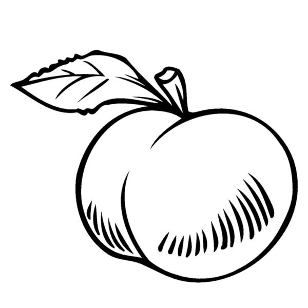 peach2 Thumbnail