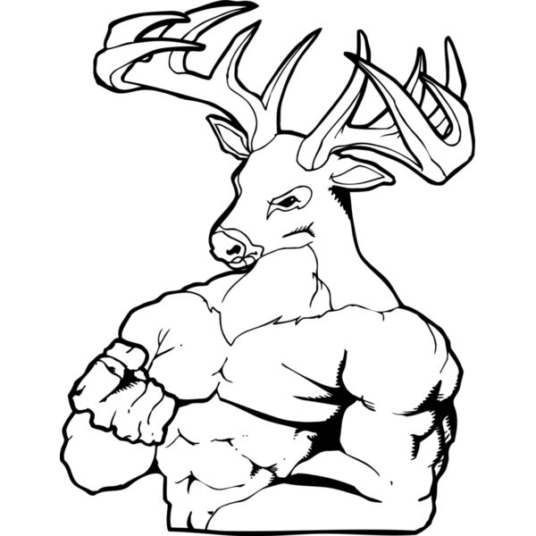 elkmsct Thumbnail