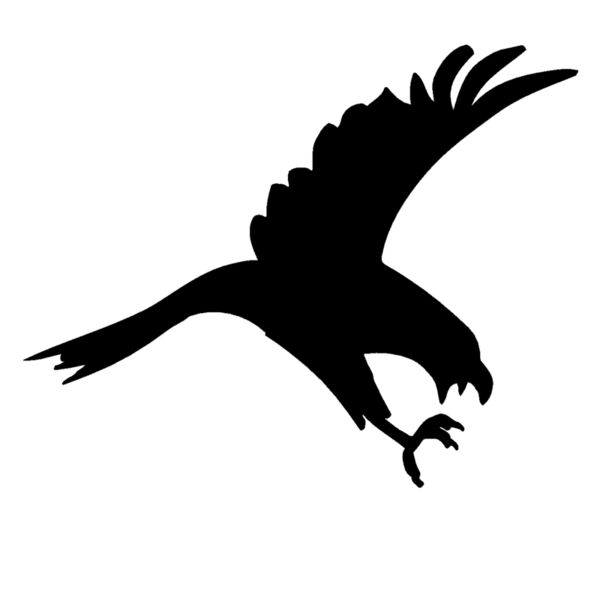 eagle Thumbnail