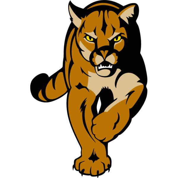 cougar7 Thumbnail