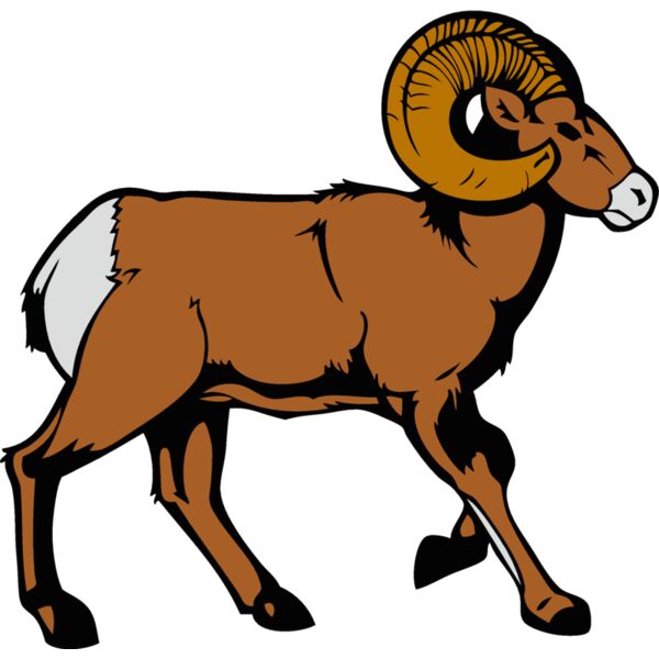ram8 Thumbnail
