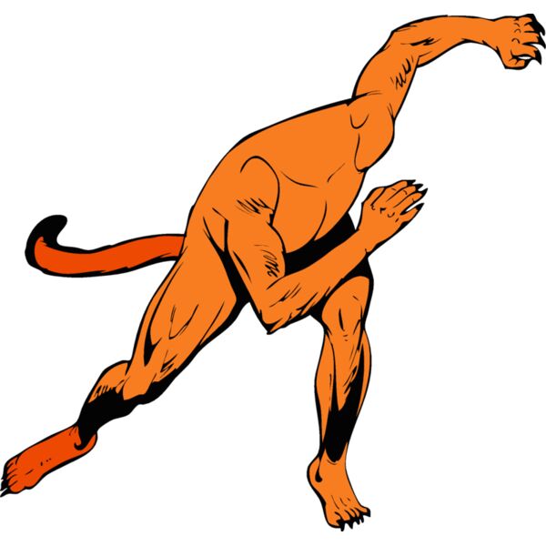 wildcatbd Thumbnail