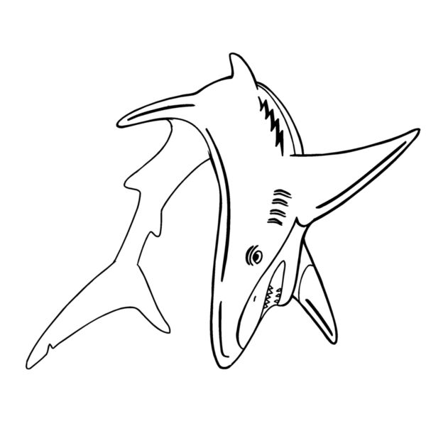 shrk Thumbnail