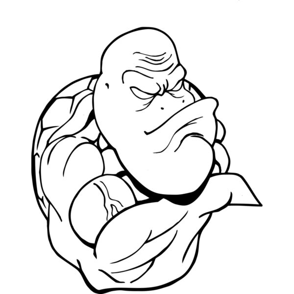 turtle Thumbnail