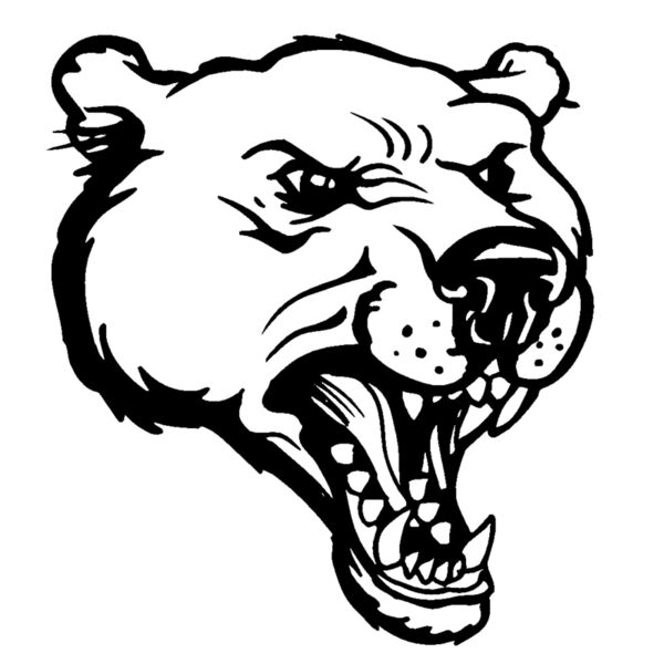 bear2 Thumbnail