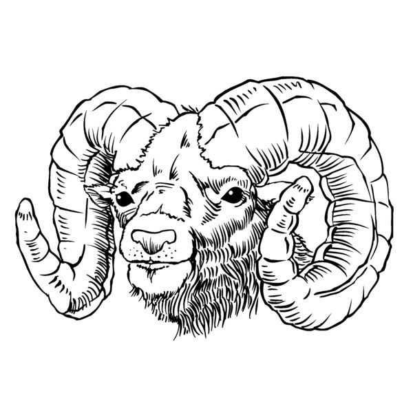 ramhead01 Thumbnail