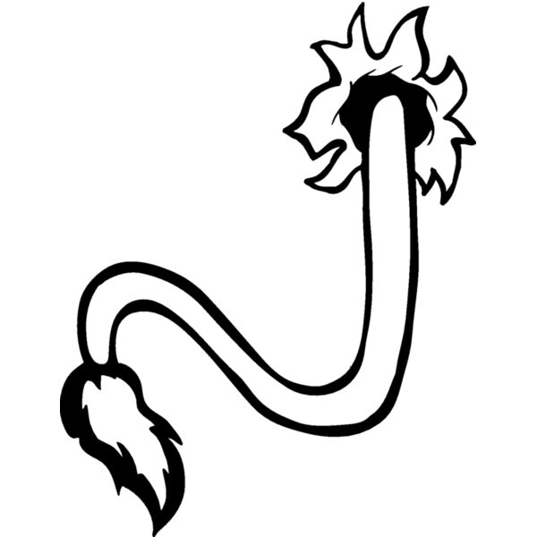 lion tail Thumbnail