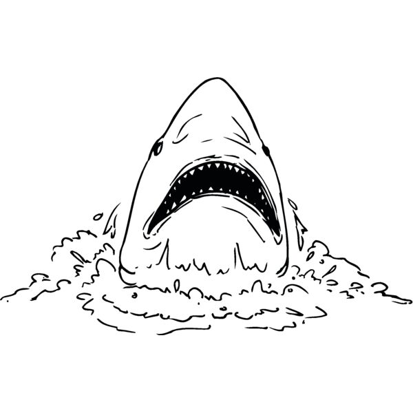 shark2 Thumbnail