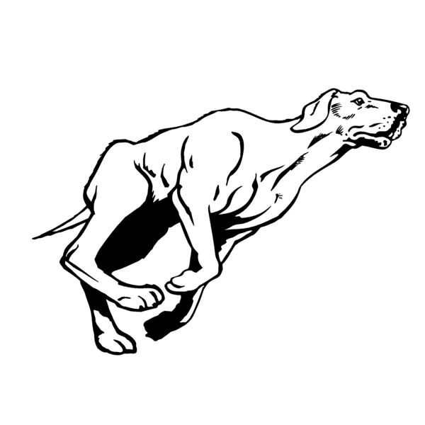 dog9 Thumbnail