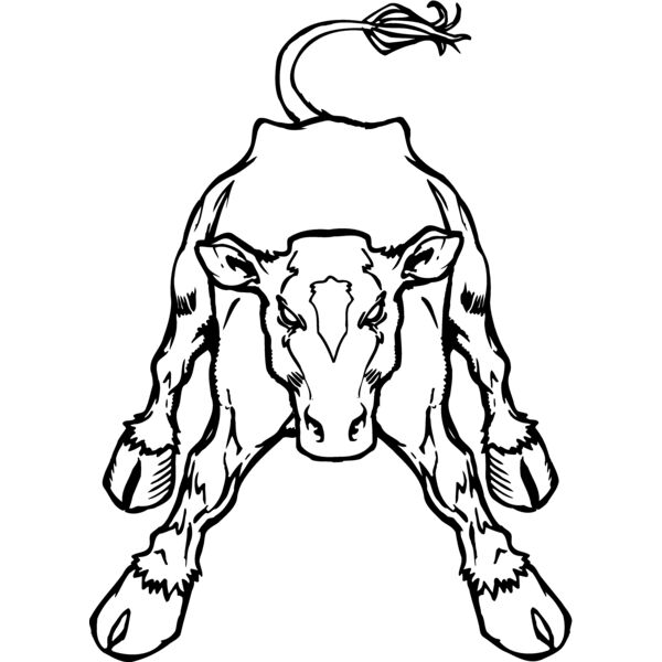 cow Thumbnail