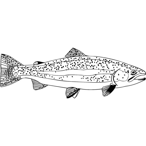 fish1 Thumbnail