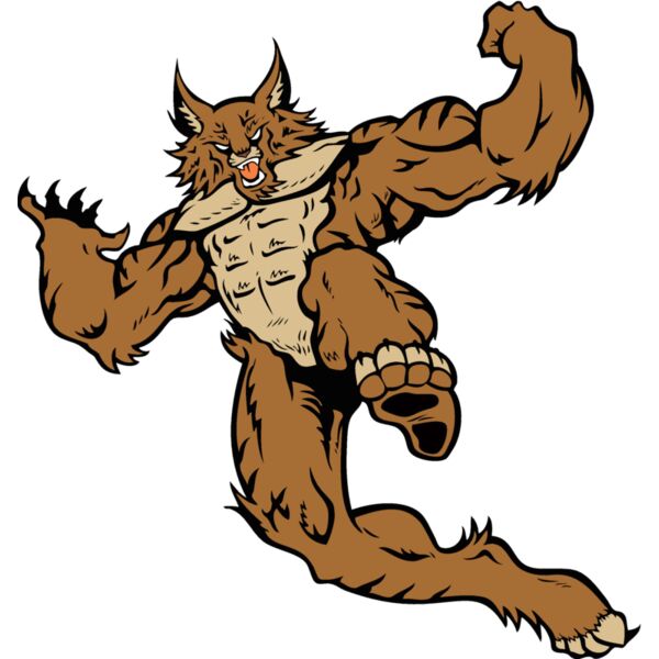 wildcat7 Thumbnail