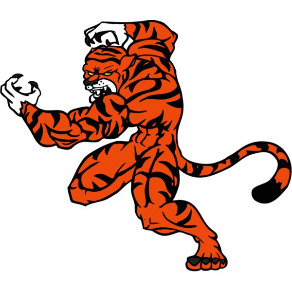 tigermn1 Thumbnail