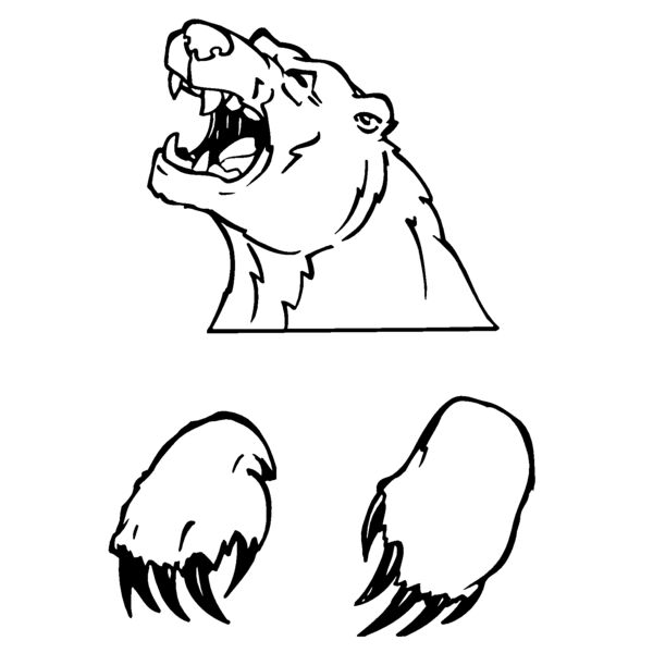 bear51 Thumbnail