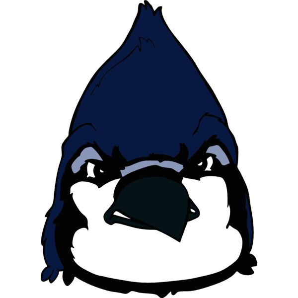 bluejay17 Thumbnail
