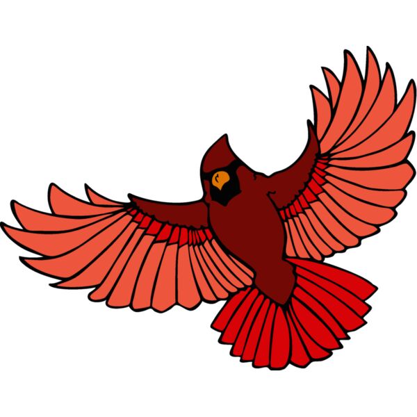 cardinal3 Thumbnail