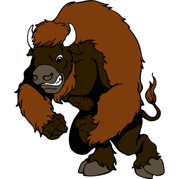 bison03 Thumbnail