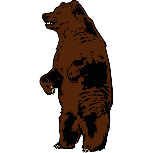 bear75 Thumbnail