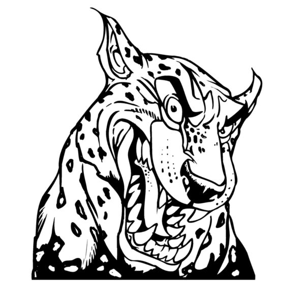 ceahd04 Thumbnail