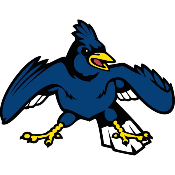 bluejay10 Thumbnail