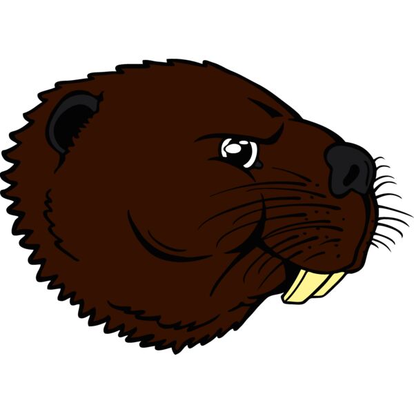 beaver39 Thumbnail