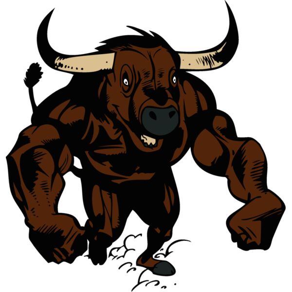 bull3 Thumbnail