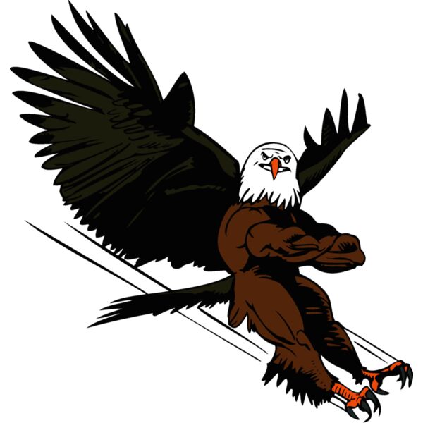 eagle2 Thumbnail