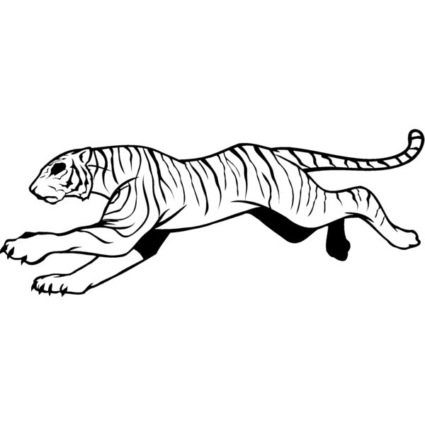 tigerrun1 Thumbnail