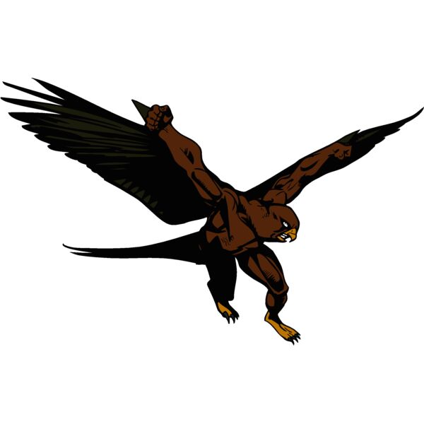 hawk01 Thumbnail